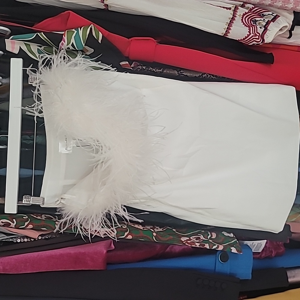 🆕️ Line & Dot Feather Mini Dress - Picture 3 of 5